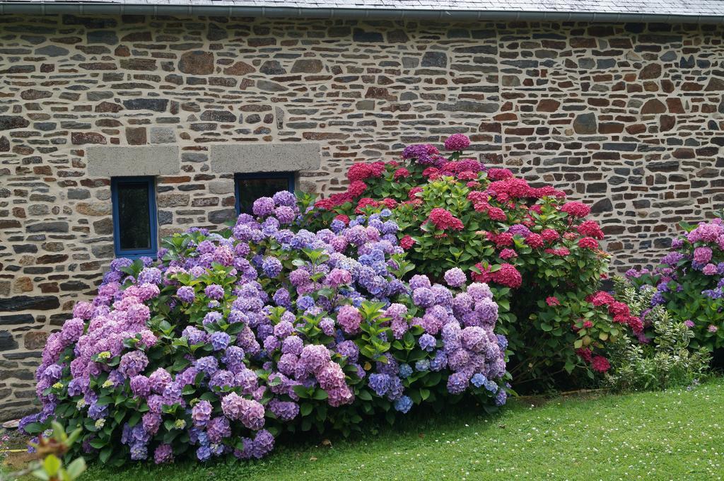 Chambres D'Hotes La Loubatais Dol-de-Bretagne Exterior foto